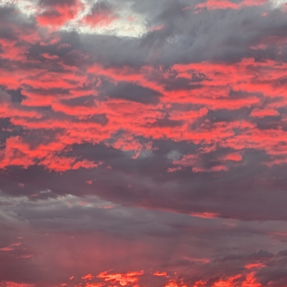 ALL WEEK SALE STARTS NOW: 30% off all bundles - Picture 4 of 6